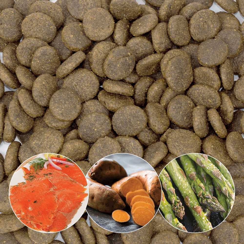 ADULT – Salmon, Trout, Sweet Potato and Asparagus