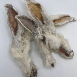 Rabbits Ears with Fur